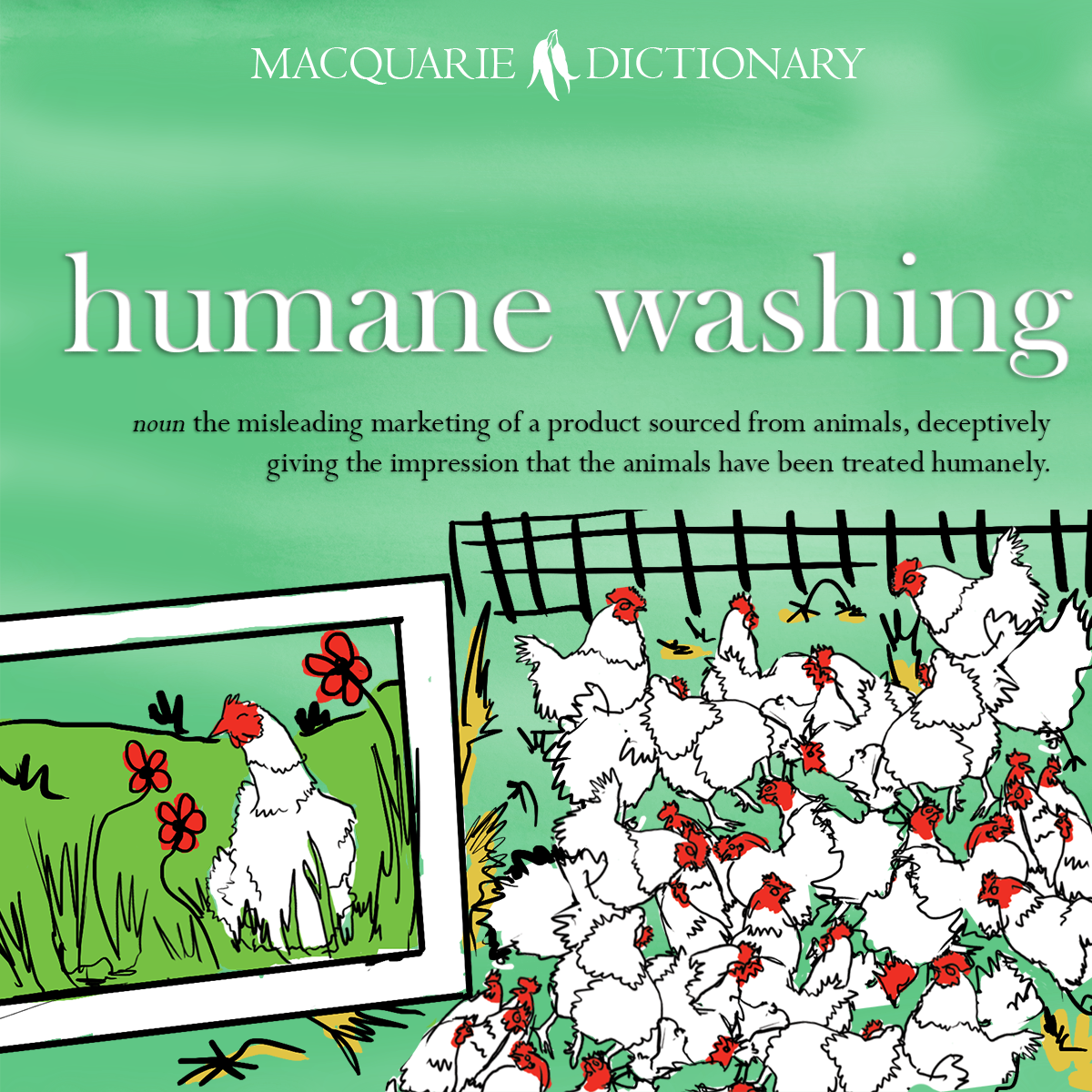 Word of the Year 2021 - humane washing