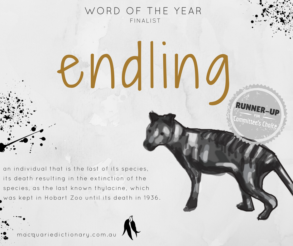 Macquarie Dictionary Word of the Year 2017 - endling - an individual that is the last of its species,  its death resulting in the extinction of the species, as the last known thylacine, which was kept in Hobart Zoo until its death in 1936.